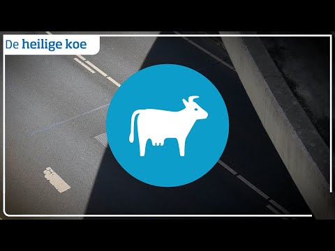 De heilige koe. Is de Nederlandse automobilist een snelheidsduivel?